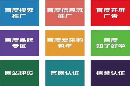 SEM推广策略：成功案例解析